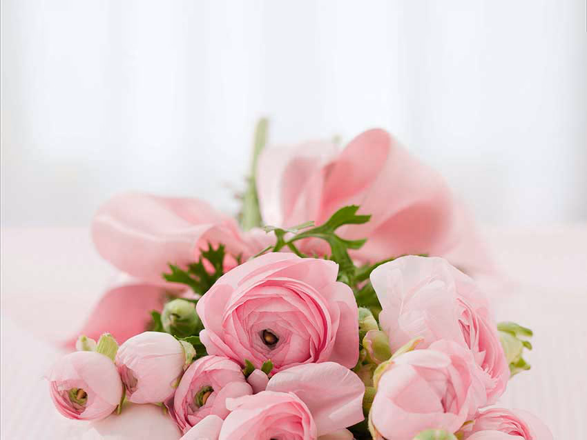 Blooming Belles