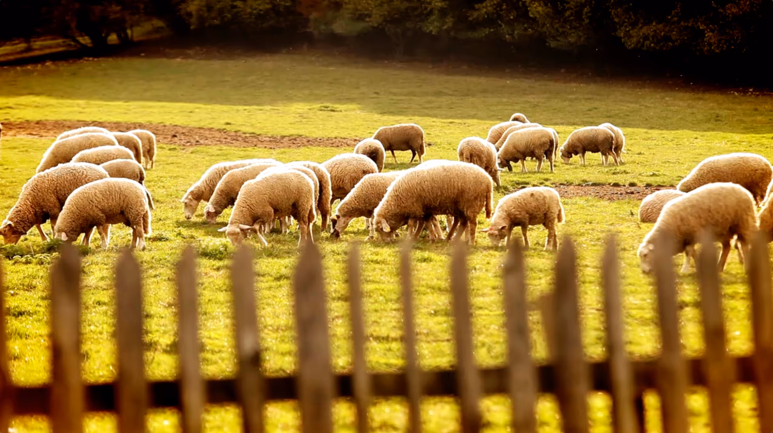 Eland Green Farm