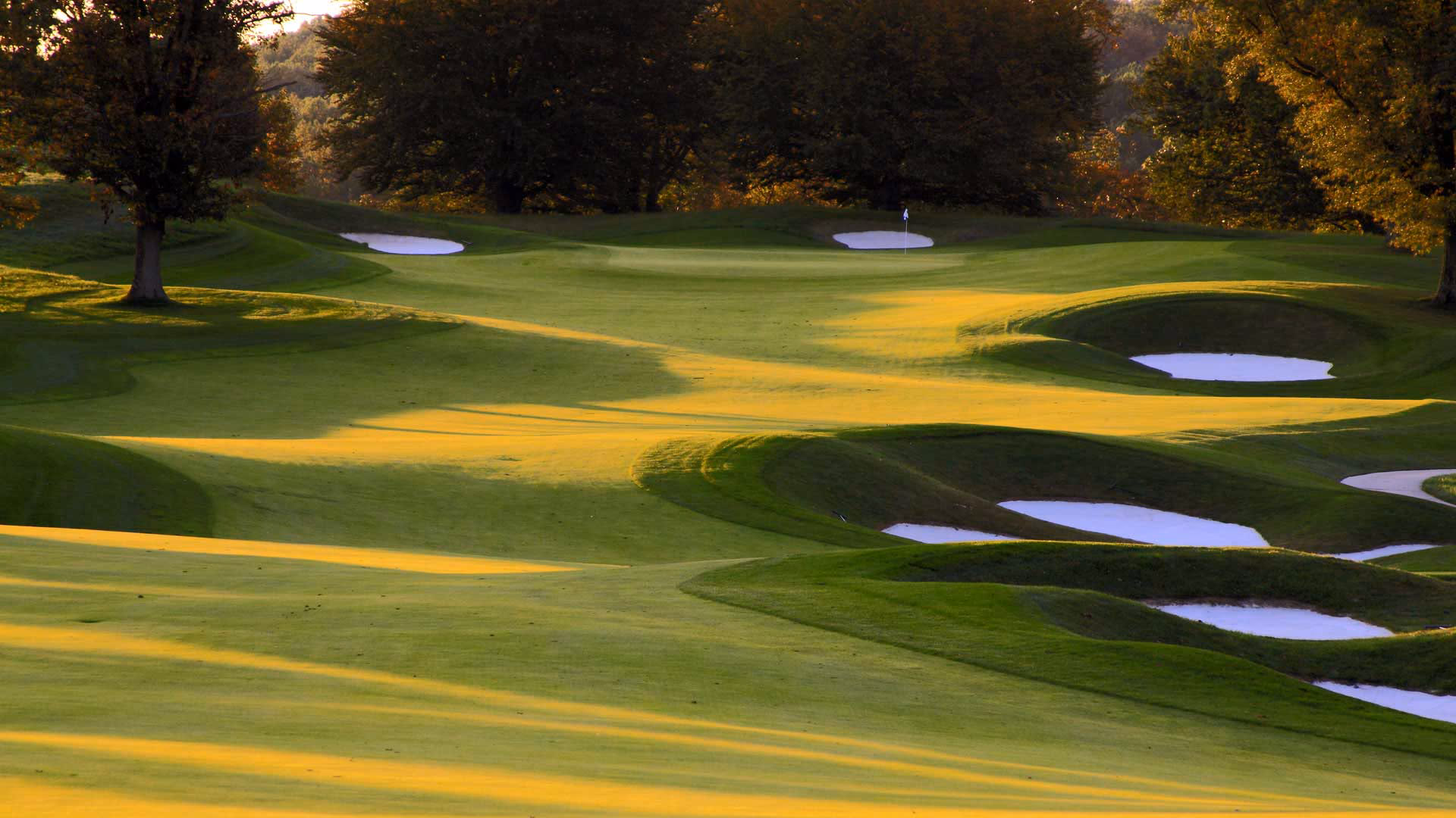 Golf Trader Banner Image