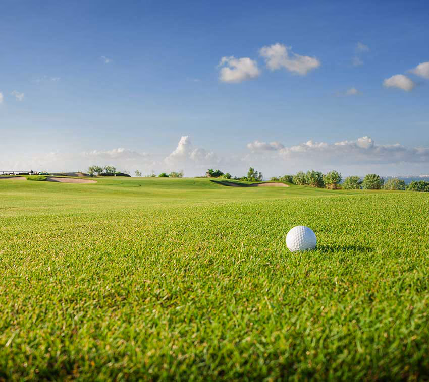 Golf Trader - Product Showcase Image 2