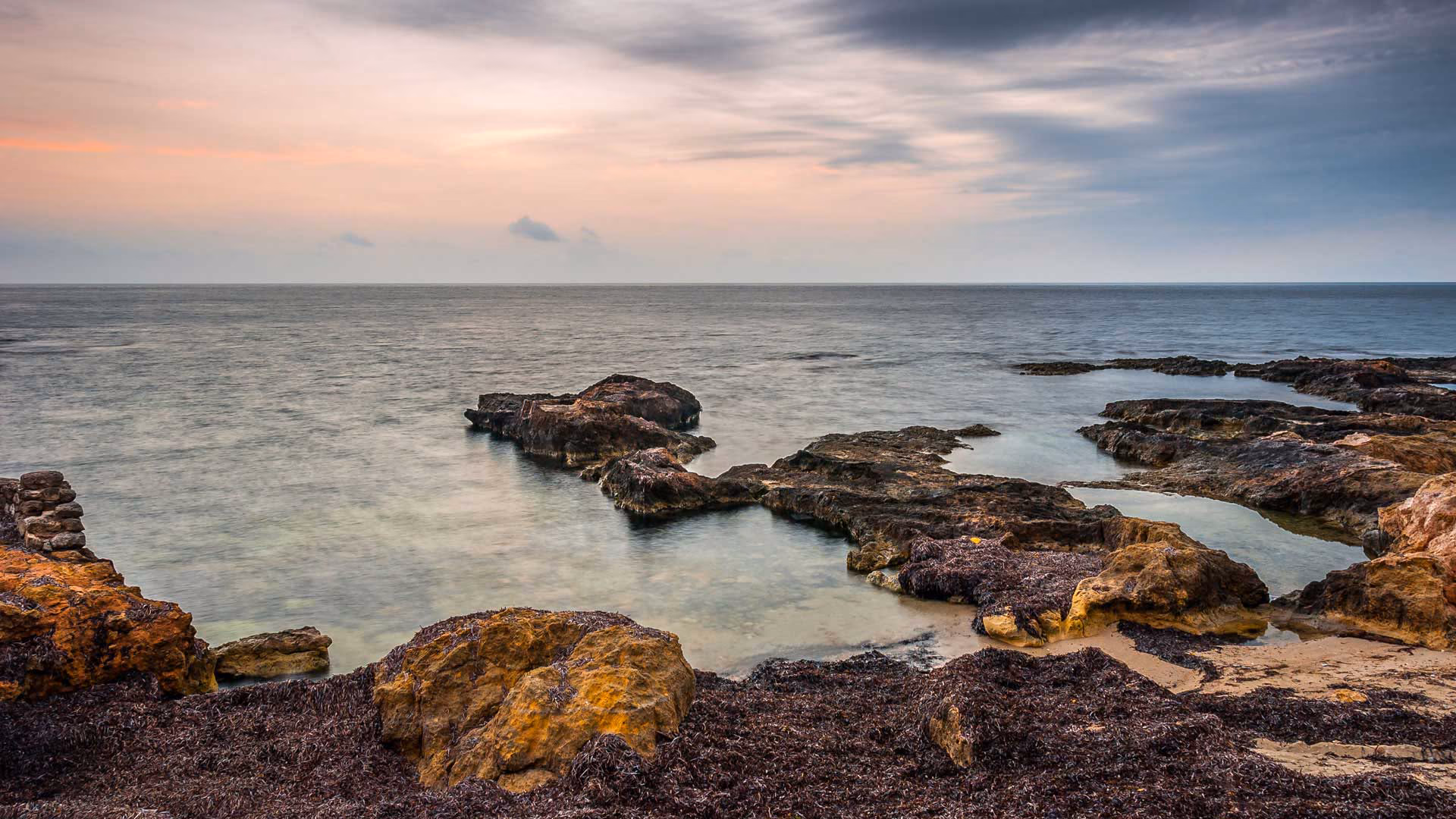 Seaweed & Co banner image