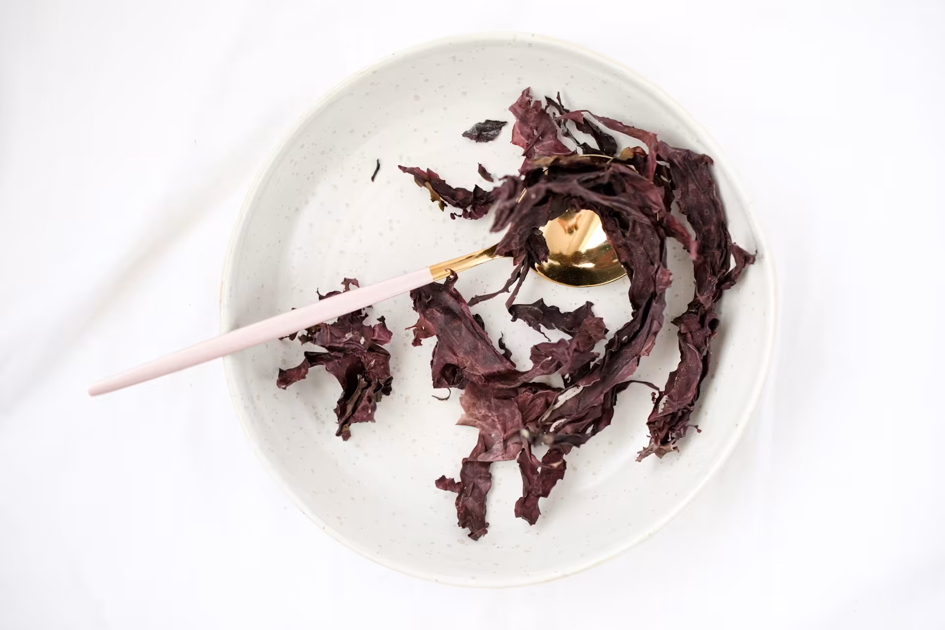 Seaweed Co large project image 1