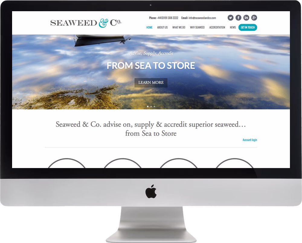 Seaweed Co website mockup on iMac