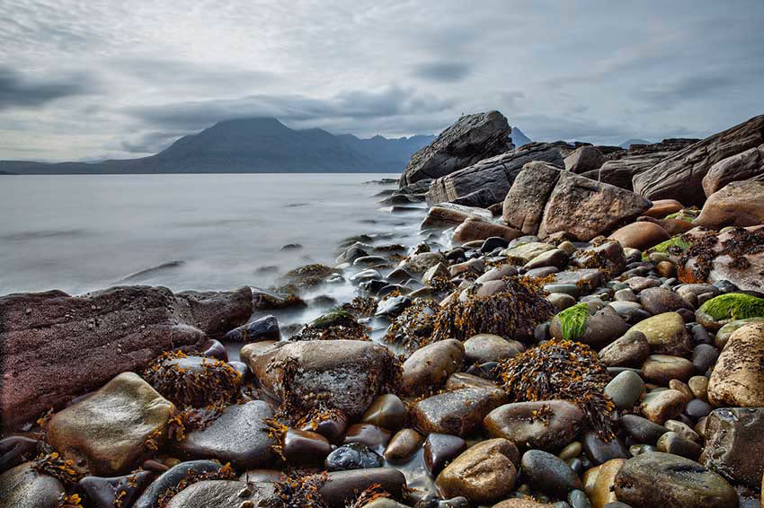 Seaweed Co project image 3