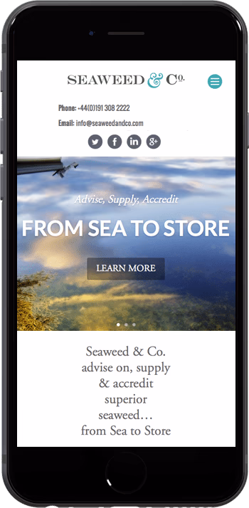 Seaweed Co website mobile view