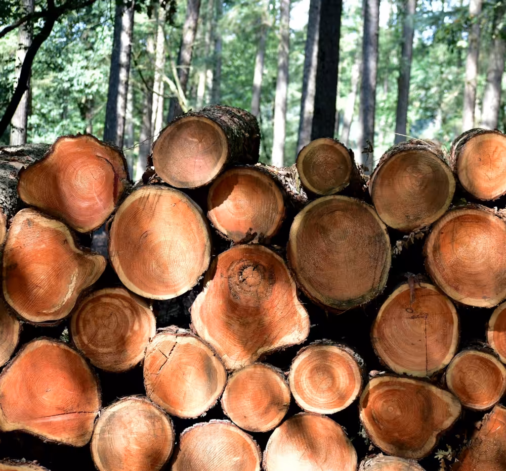 Wood Fuel Barn image 3
